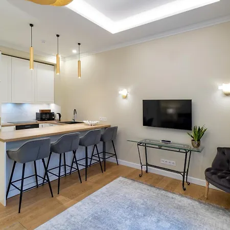 Luxury In Putvinskio Street *