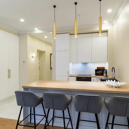 Luxury In Putvinskio Street 公寓
