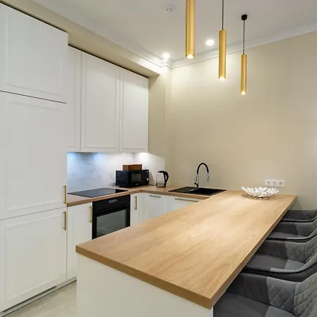 Luxury In Putvinskio Street Daire Kaunas