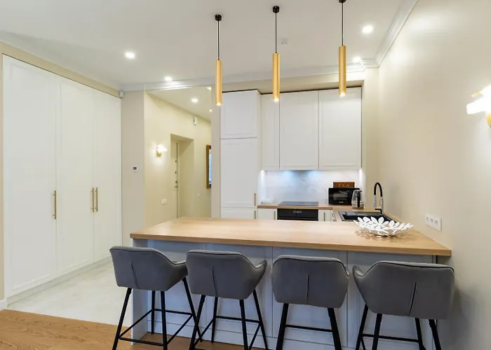 Luxury In Putvinskio Street Appartement